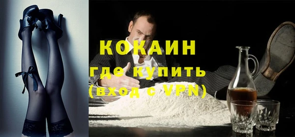 стаф Абаза