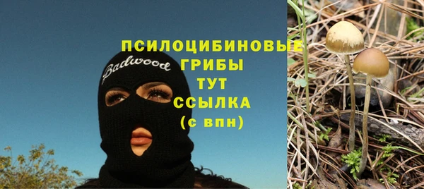 стаф Абаза