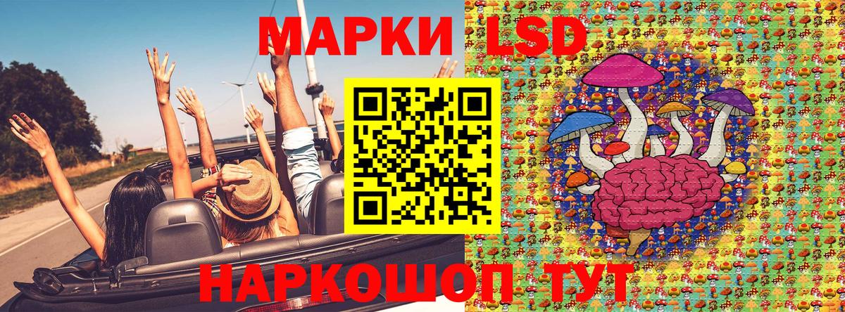 Наркотические марки  Наркотические марки 1,5мг  Вход с VPN  Александров 