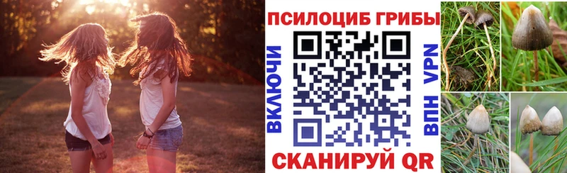 Галлюциногенные грибы мицелий Александров