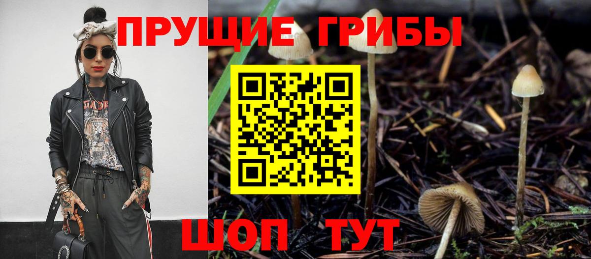 Псилоцибиновые грибы мицелий Александров